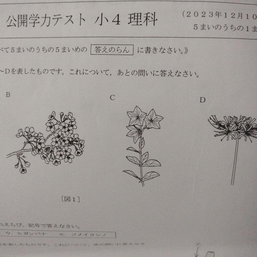 浜学園　小５　公開学力テスト　５年分　2023年度対応可能 浜学園 小5 2023年度、2024年度 4科目 公開学力テスト☆成績資料