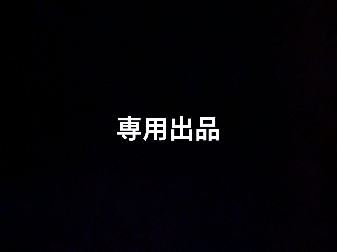 難攻不落様専用出品
