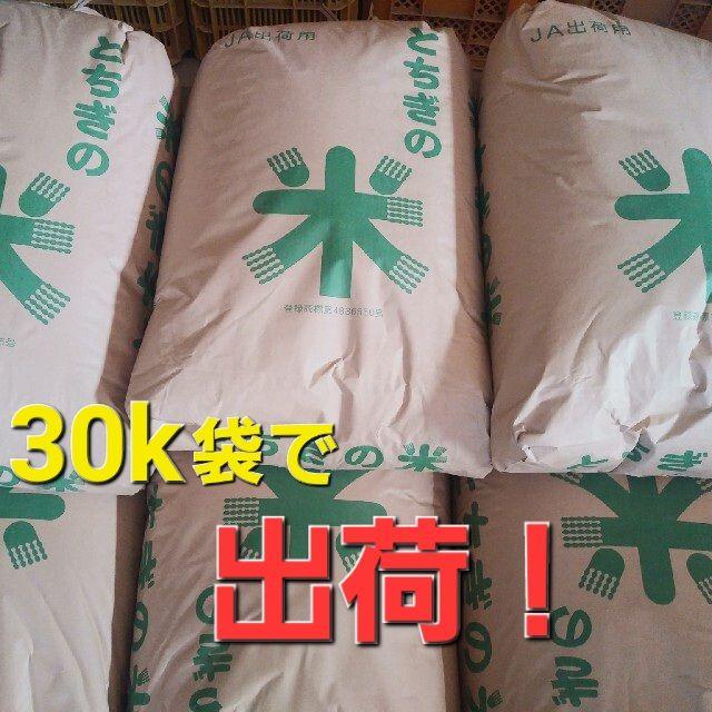 とちぎの星 新米 30kg 送料無料