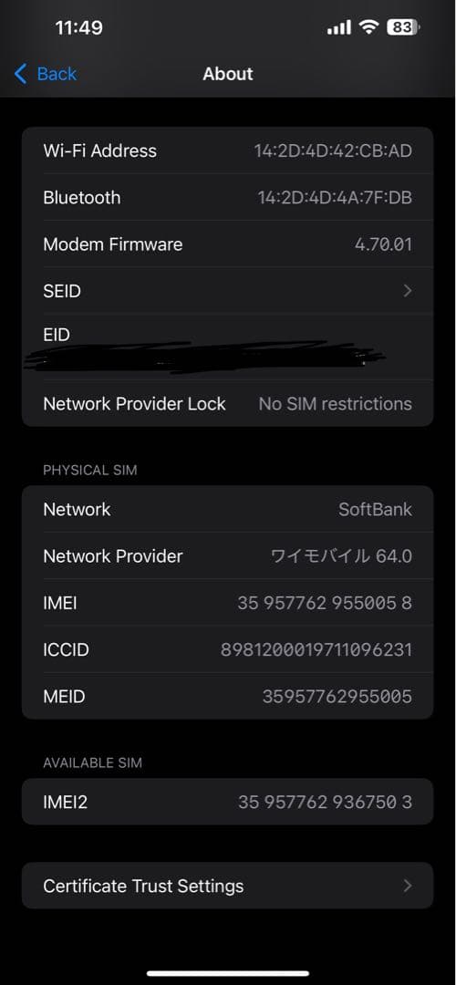 Apple iPhone 13 Promax シムフリー