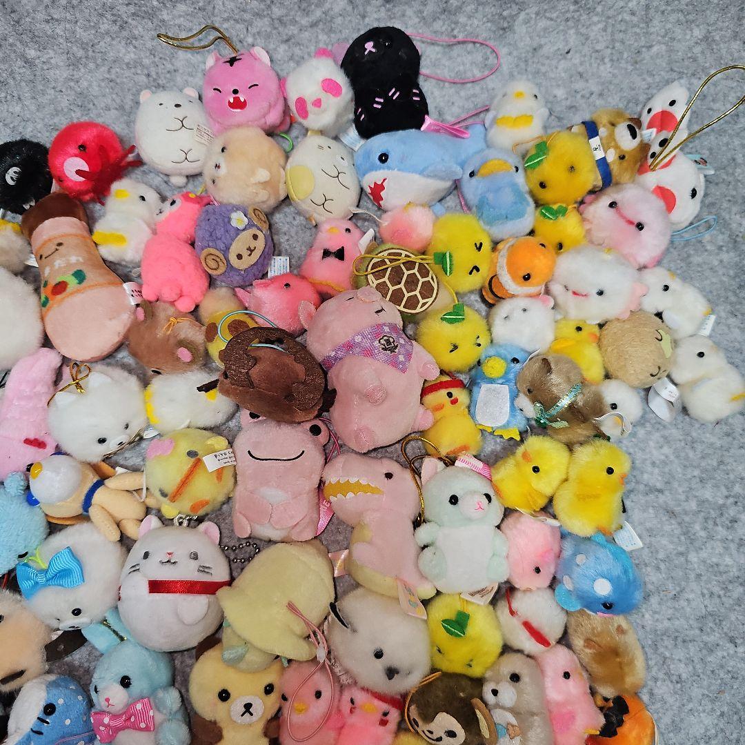 ミニ ぬいぐるみ マスコット ぴよりーな すみっコぐらし アニマル ねこ