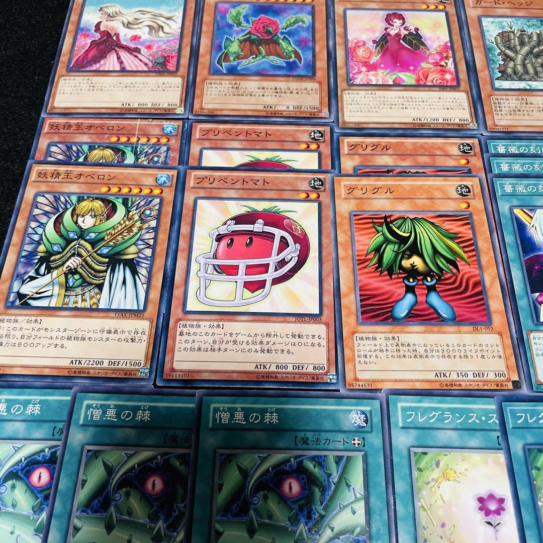 No.89 遊戯王デッキパーツ　ブラックローズ　植物族　大量デッキパーツセット