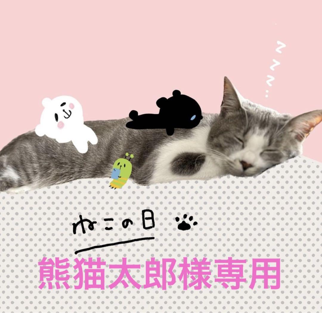 返品?交換対象商品】 猫の日御朱印 印刷物 - carolinaagemanagement.com