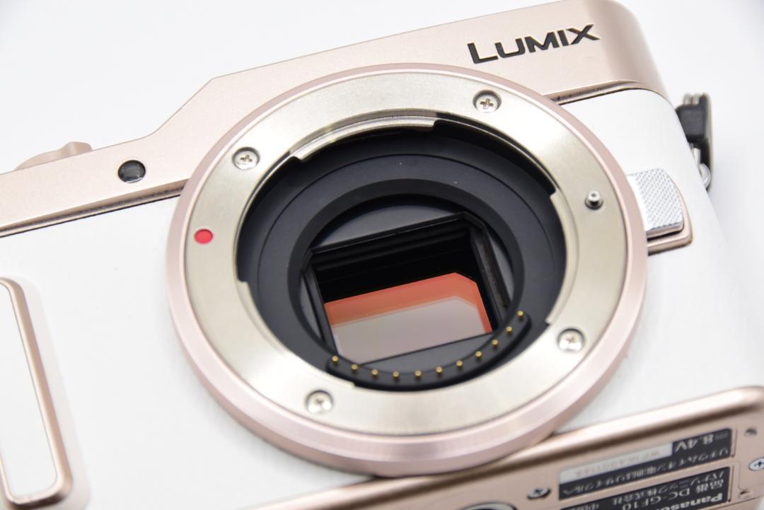 ■ 美品 ■パナソニック Panasonic LUMIX DC-GF10 ボディ
