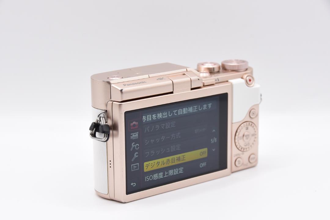 ■ 美品 ■パナソニック Panasonic LUMIX DC-GF10 ボディ