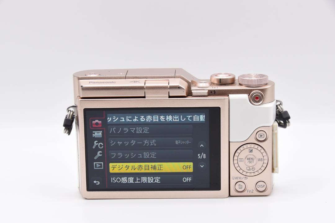 ■ 美品 ■パナソニック Panasonic LUMIX DC-GF10 ボディ