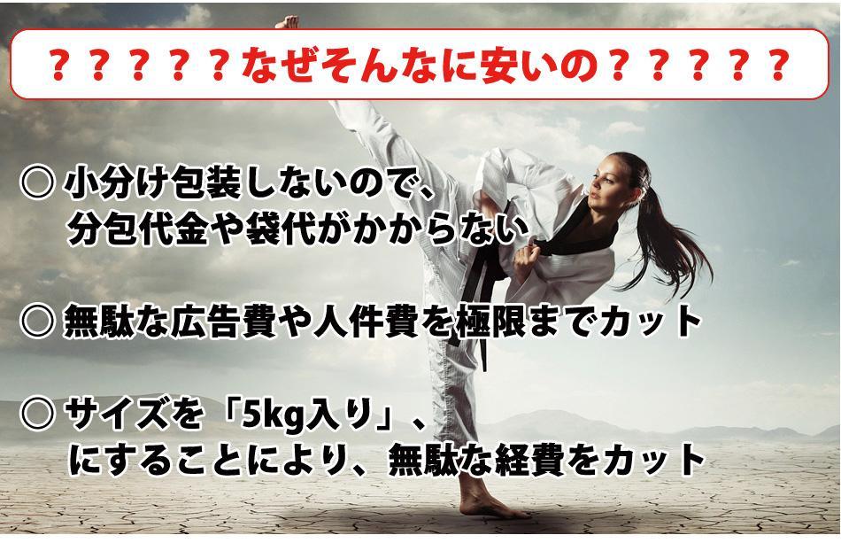 HOT正規品 ストロベリーシェイク風味のホエイプロテイン5kg 新品 国産 無添加 イチゴ味 u2KpY-m12413700132 豊富な新作