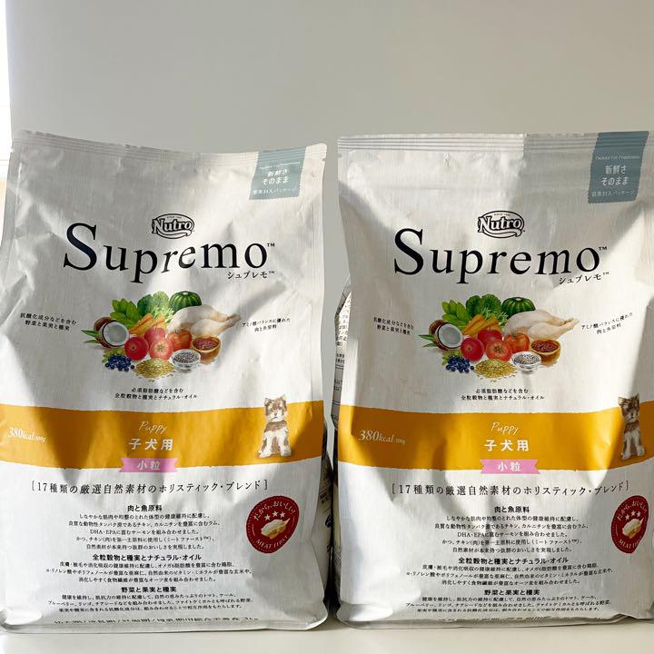 シュプレモ 子犬用 ニュートロ 小粒 3kg 2袋 6kg 賞味期限長期 新品 シュプレモ 子犬用 ニュートロ 小粒 3kg 2袋 6kg 賞味期限長期 新品