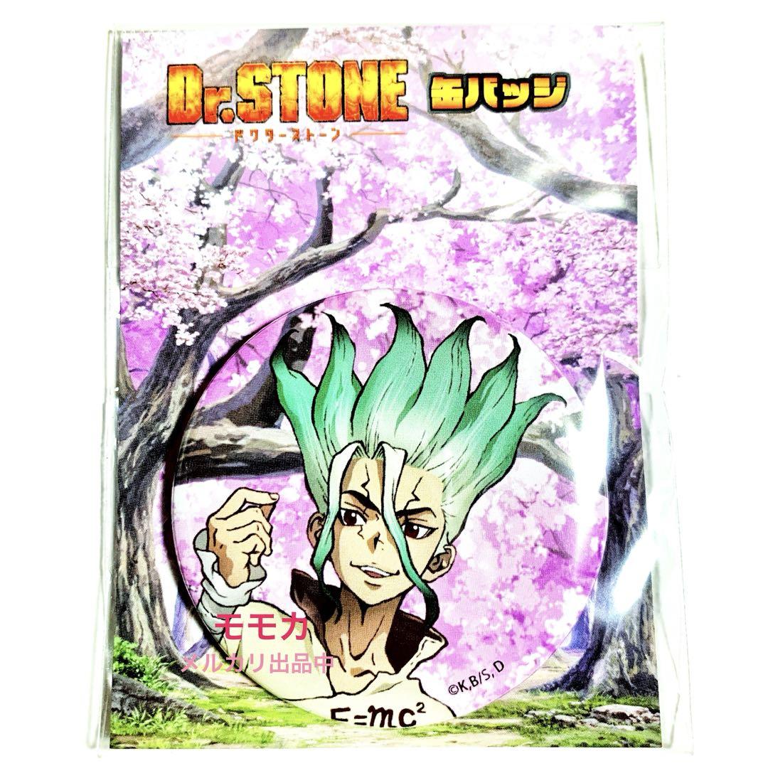 レア Dr.STONE ドクスト 描き下ろし 缶バッジ 缶バッチ 桜 石神千空
