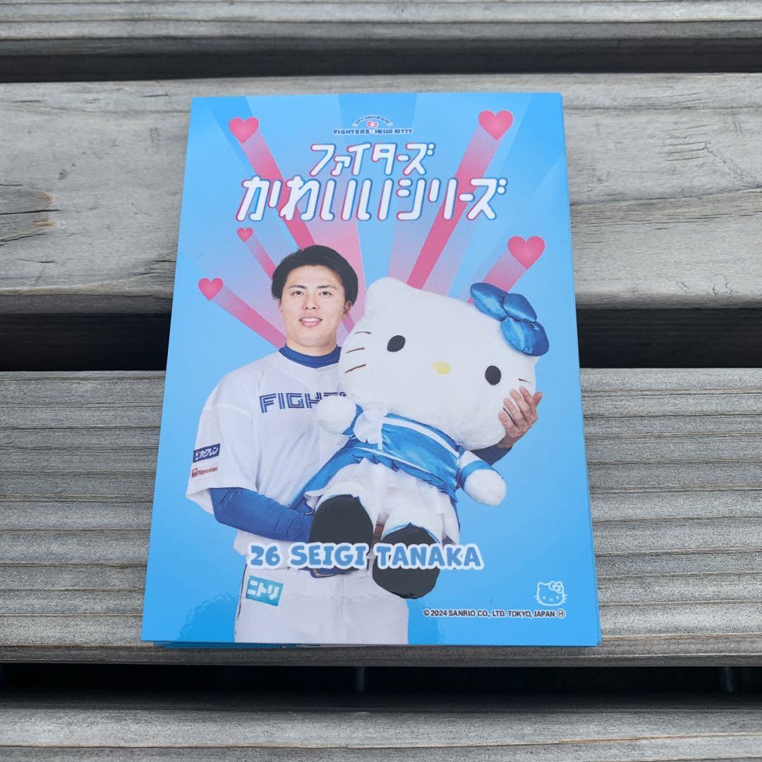 完璧わいふによる 北海道日本ハムファイターズ トレカ キティ かわいいシリーズ スポーツ選手