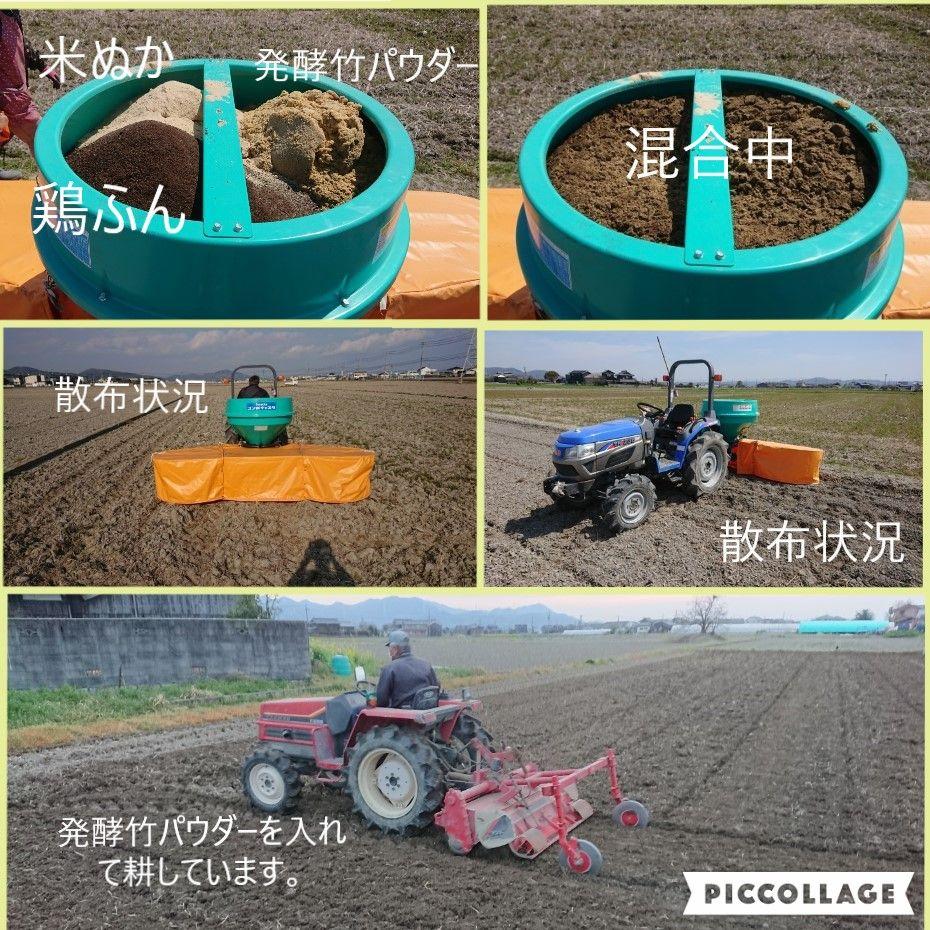 出産祝いなども豊富 【令和3年産、新米】晴れの国岡山のお米あけぼの米20kg - 米 - www.qiraatafrican.com 出産祝いなども豊富 【令和3年産、新米】晴れの国岡山のお米あけぼの米20kg - 米 - www.qiraatafrican.com