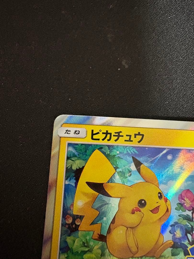 ピカチュウ PROMO SM-Pプロモカード 179/SM-P ピカチュウ PROMO SM-Pプロモカード 179/SM-P