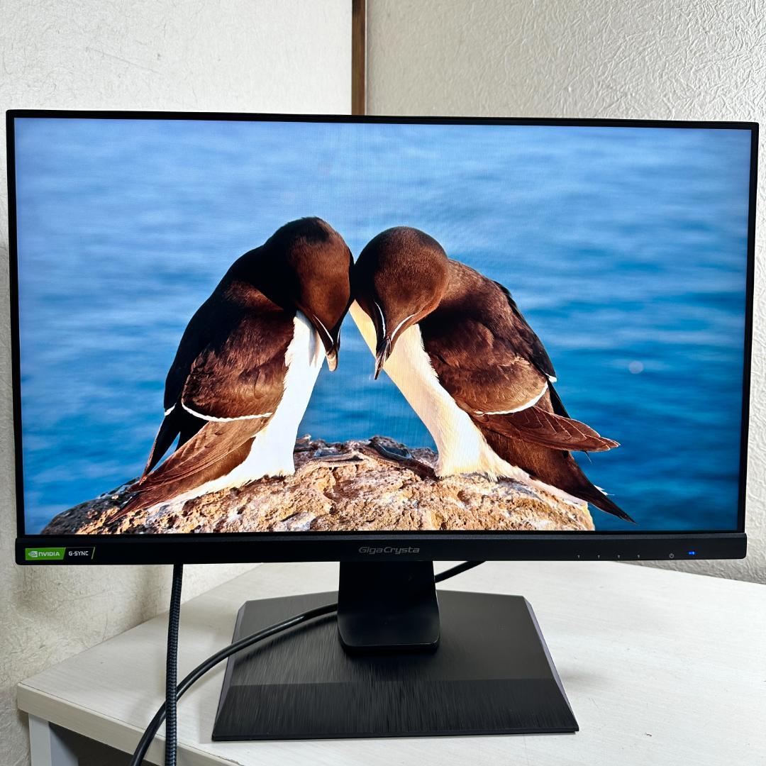 IO DATA 165Hz対応 24.5型 ゲーミングモニター