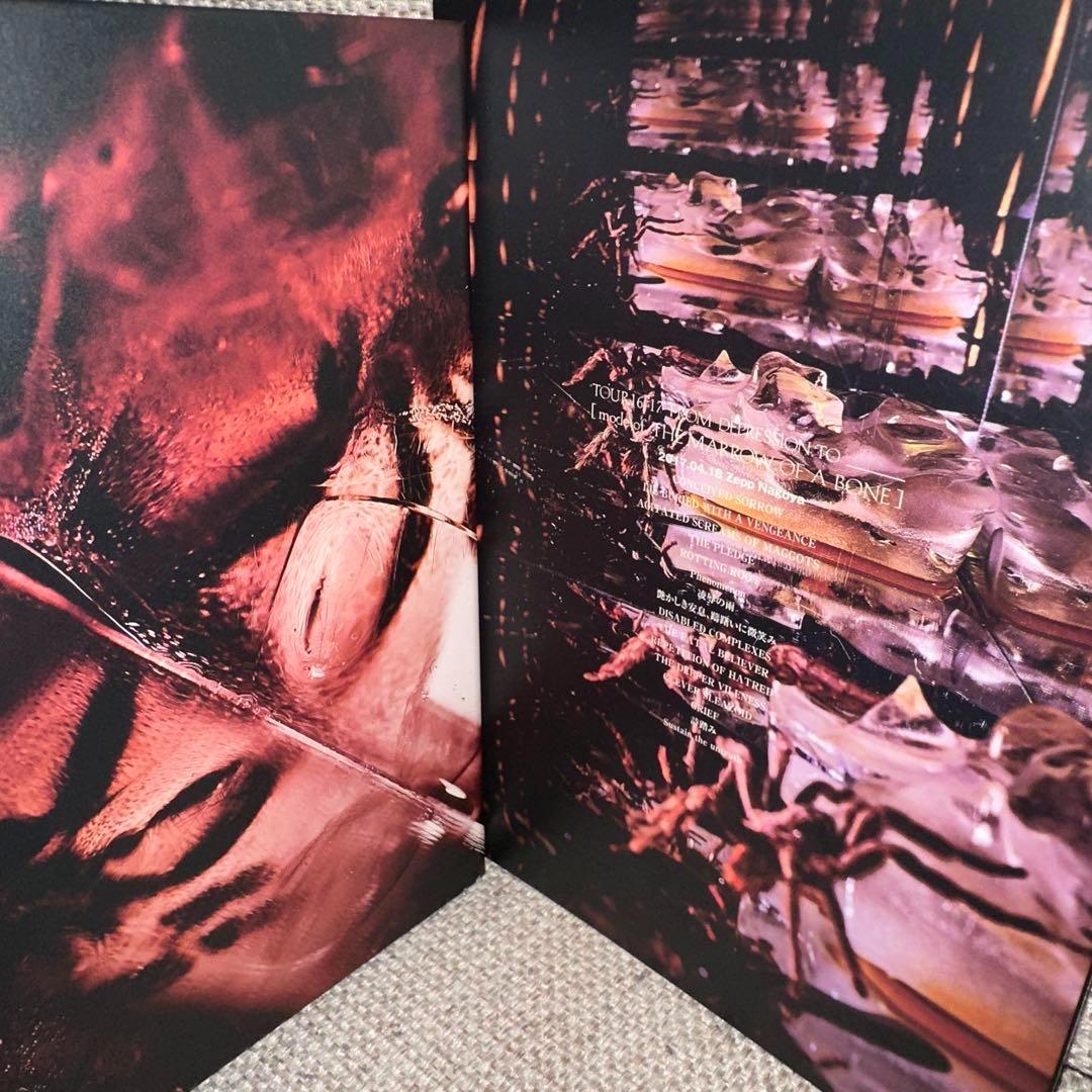 DIR EN GREY mode of THE MARROW OF A BONE - メルカリ