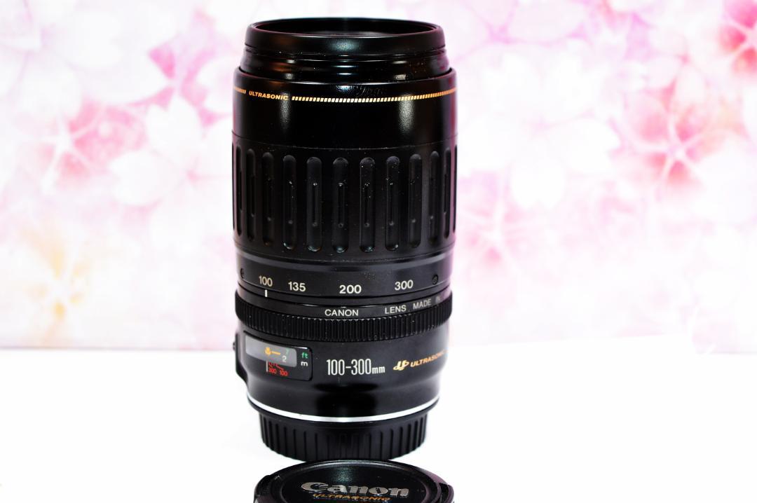 思い出をアートに!　Canon キヤノン 望遠レンズ EF100-300mm