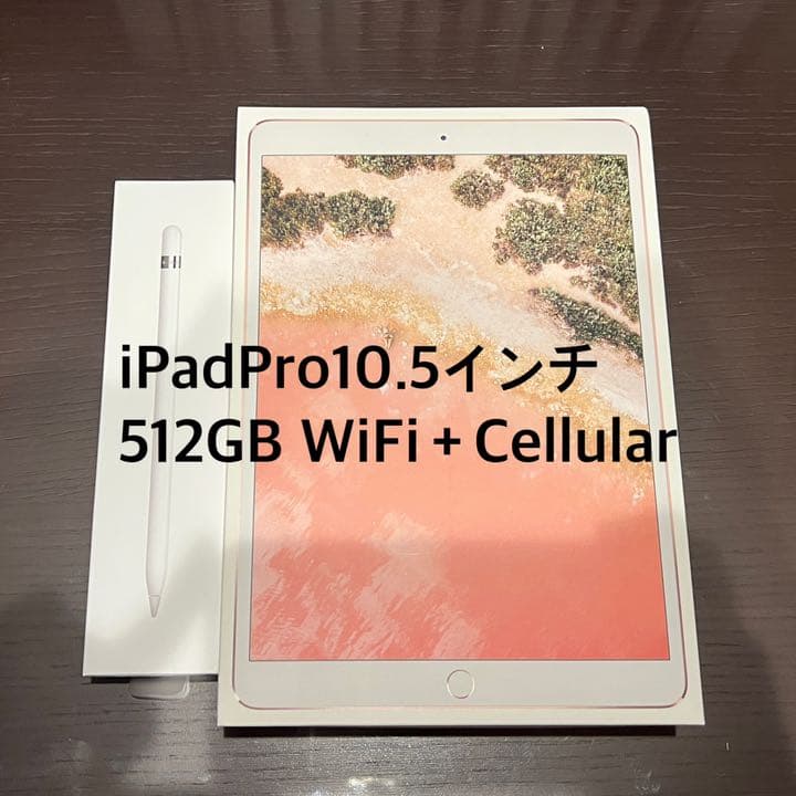 新販売 美品 Ipad Pro10 5インチ512gb Cellular Simフリー ポイント11倍 家電 スマホ カメラ Rspg Spectrum Eu