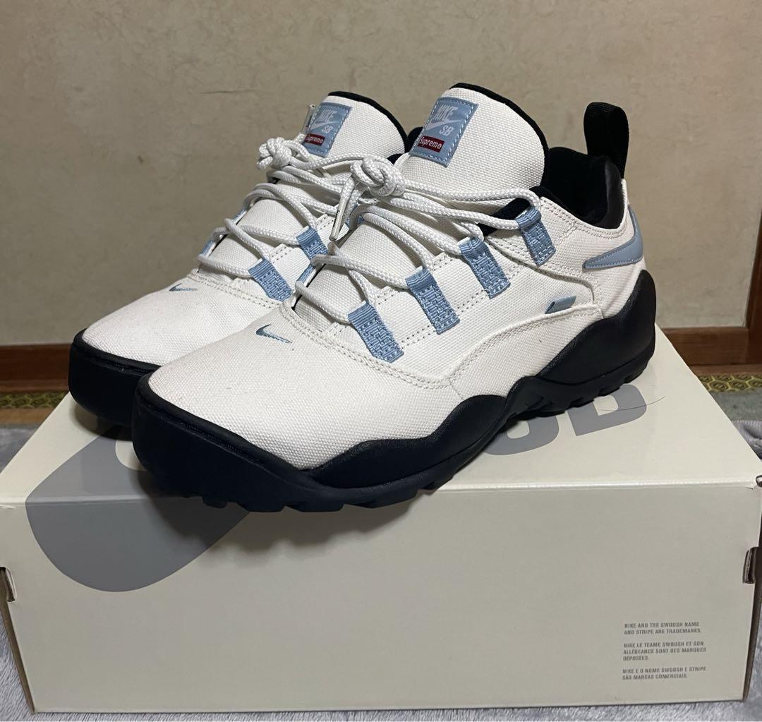 Nike SB Darwin low supreme 28センチ