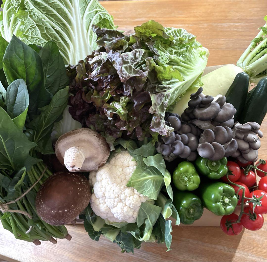 ★ 新鮮 & 安全‼︎ お野菜 リクエスト 120cm （重量）　BOX ★