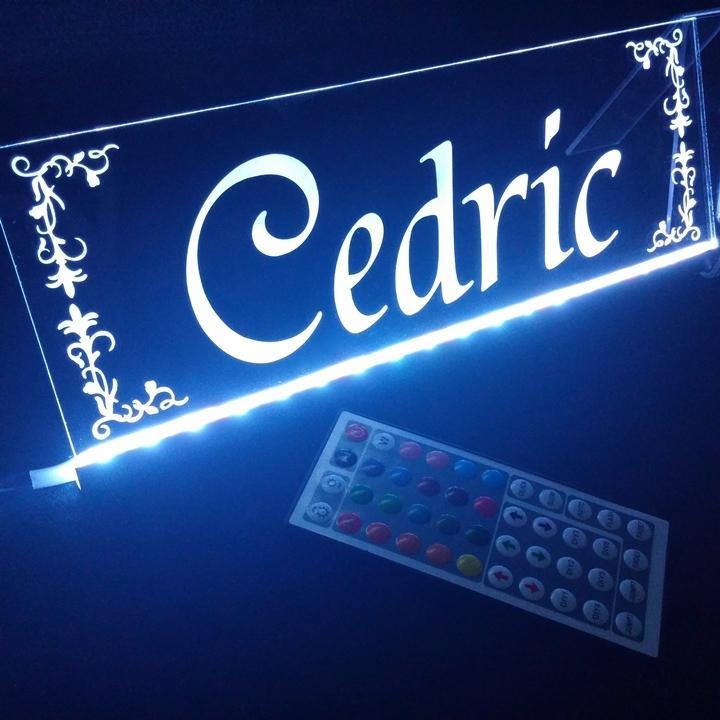 セドリック② 光るLEDアクリルプレート LNRAv-m12651304113 最新品お得