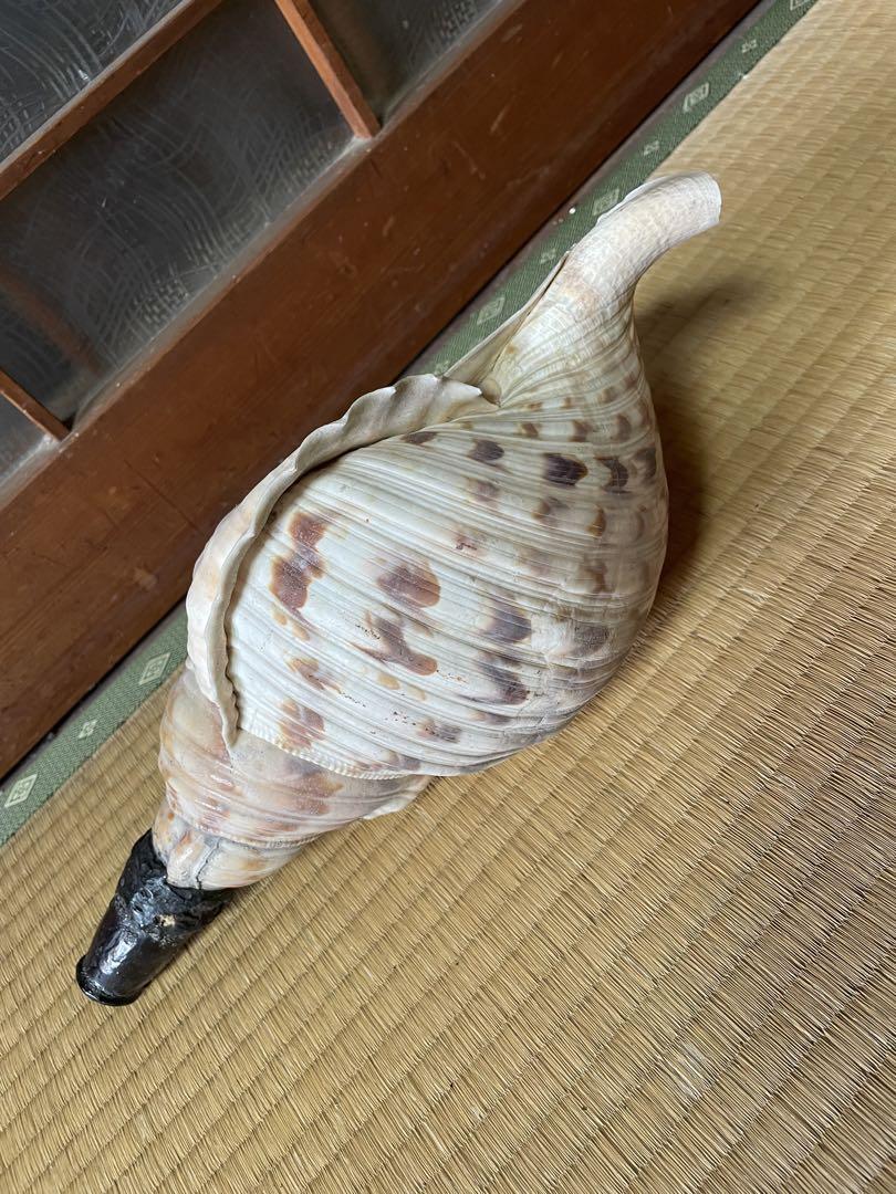 ほら貝，法螺貝　山伏、密教魔除け　和楽器