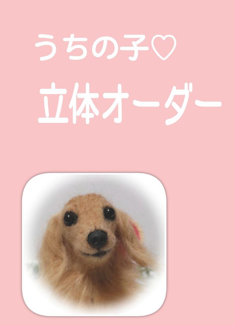 週間売れ筋 うちの子♡立体オーダー♡羊毛フェルト♡ハンドメイド♪ - メルカリ 羊毛フェルト