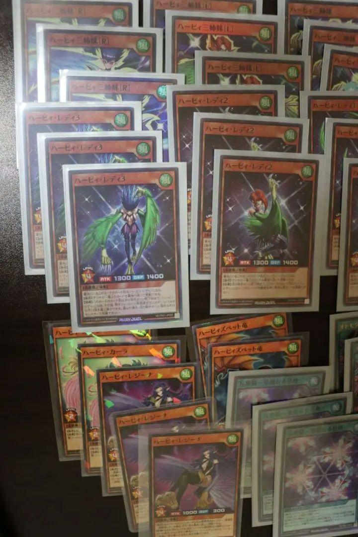 ハーピィセット　ラッシュデュエル　6枚目追加