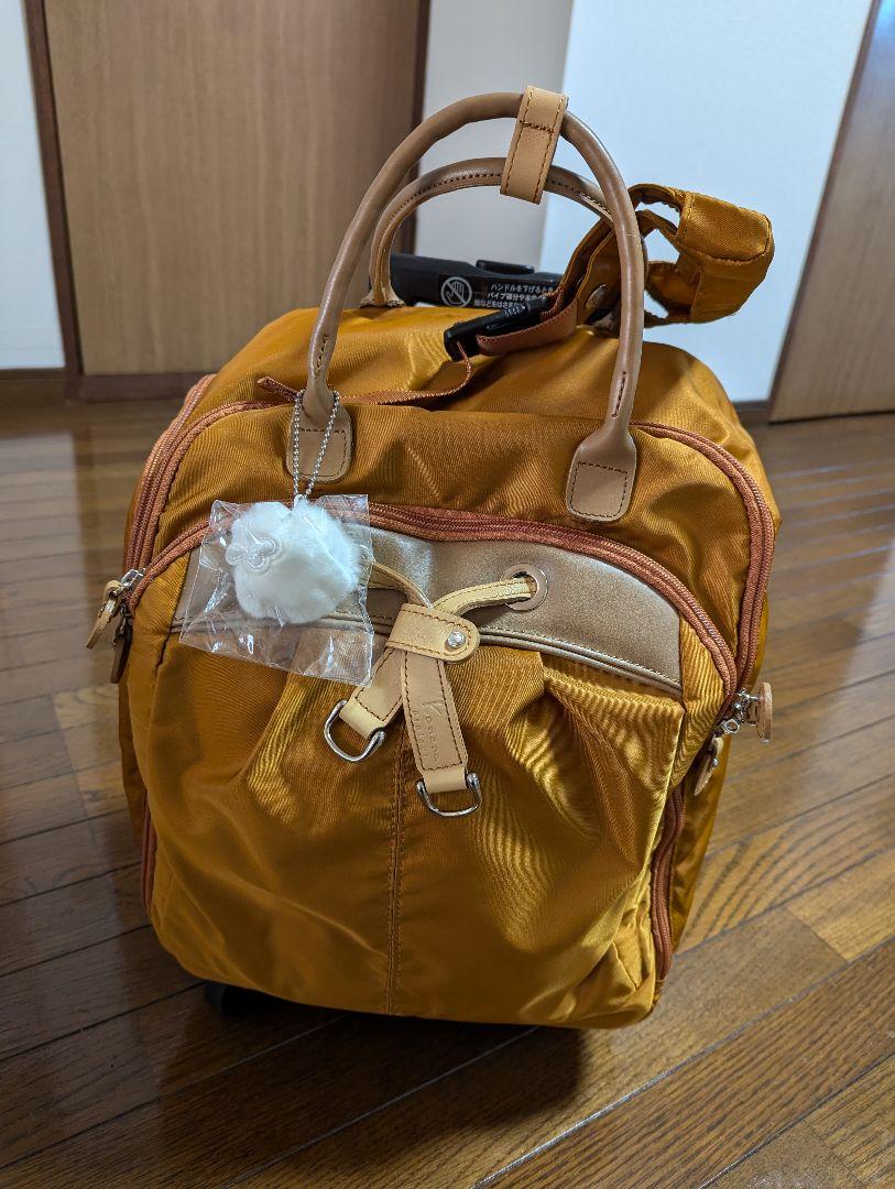 新品未使用カナナプロジェクトキャリーケース