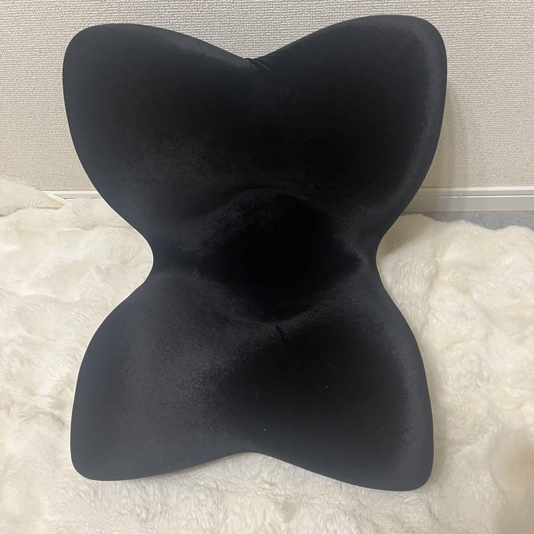 Style PREMIUM DX スタイルプレミアムデラックス ブラック