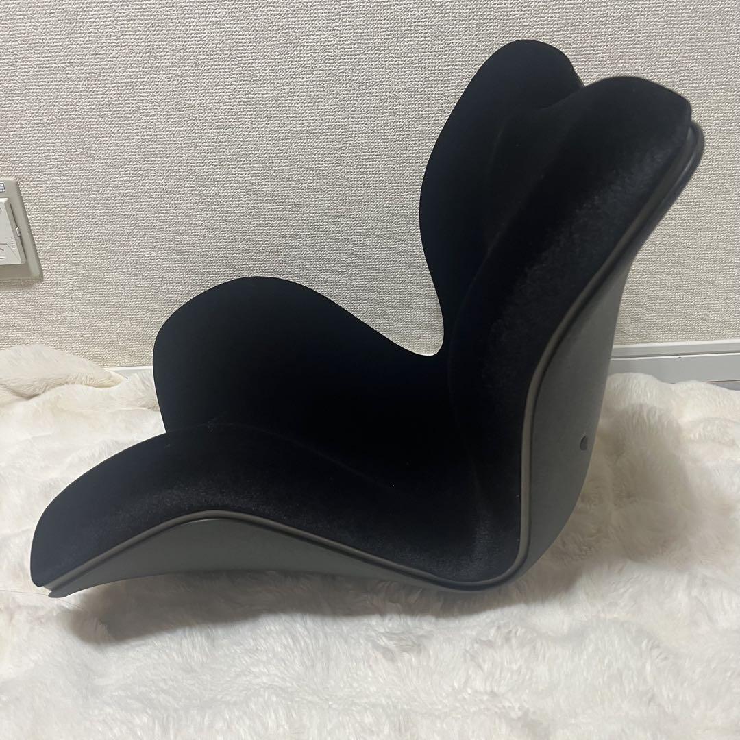 Style PREMIUM DX スタイルプレミアムデラックス ブラック