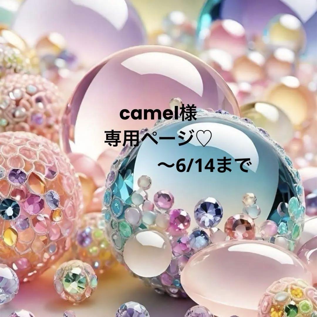 camel様専用ページ♡いつもありがとうございます♡♡チャームセット★