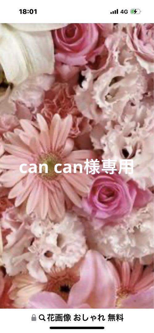 ハンドメイド　can can様専用