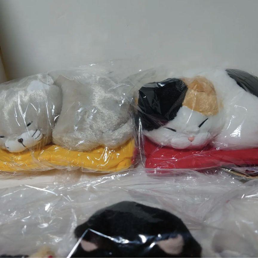 ひげまんじゅう まとめ売りセット