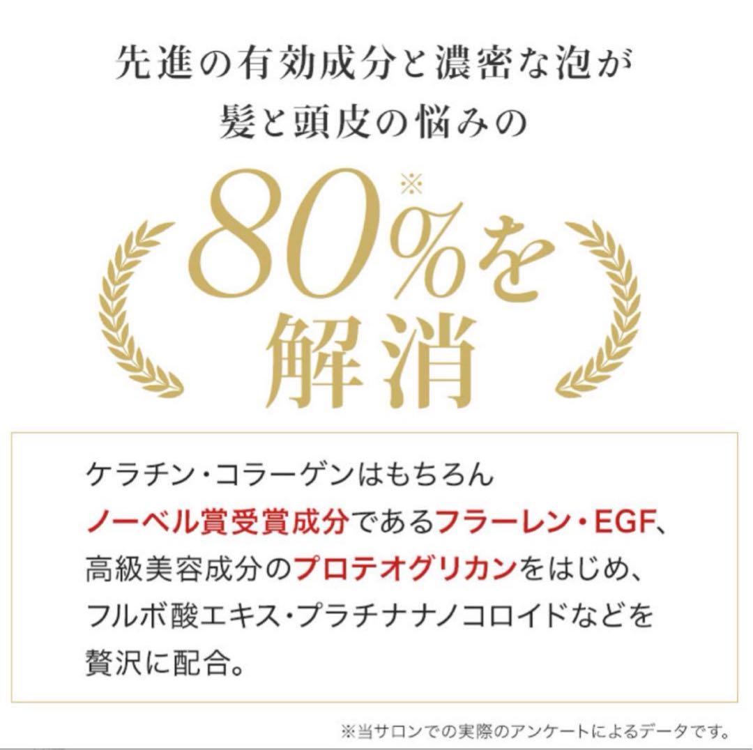 新品 スプレヴォリ ルミエアヘアパック スライドホルダーポンプ付14700円