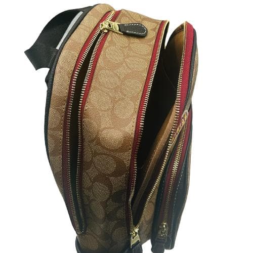 超美品の ディズニー 【匿名配送】COACH コラボ リュック パック