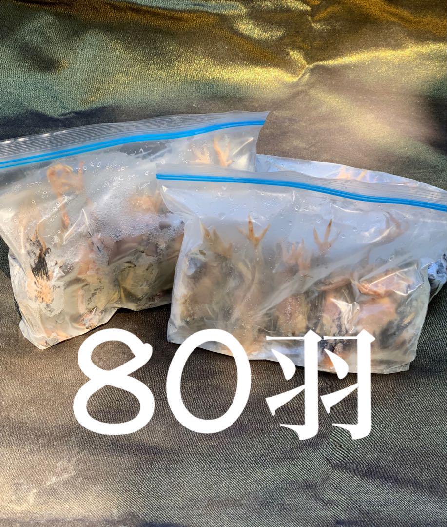 冷凍うずら（80羽）【送料込】 冷凍うずら（80羽）【送料込】 鳥用品