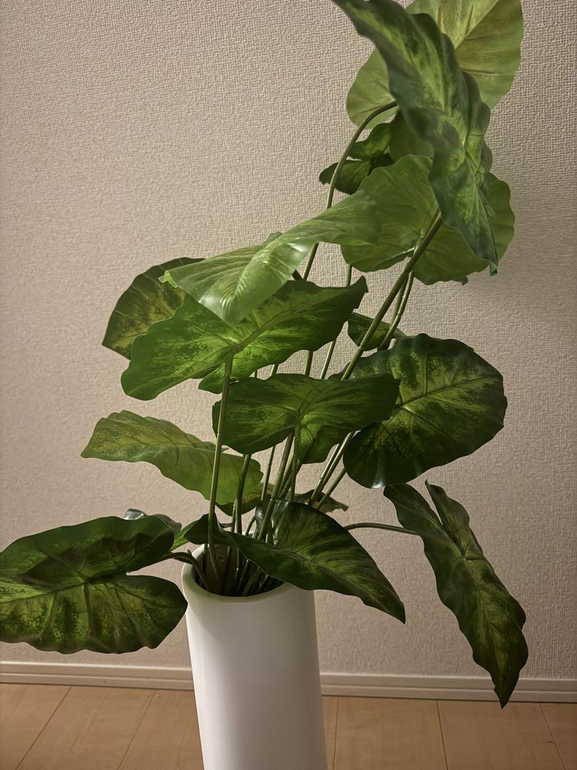 人工観葉植物 大きなハート型の葉 白いポット付き