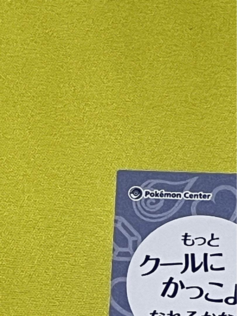 ポケモン　ポンチョ　メガルカリオ　ピカチュウ