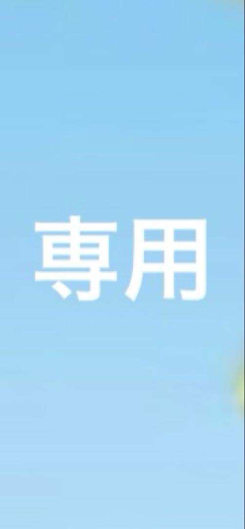 専用