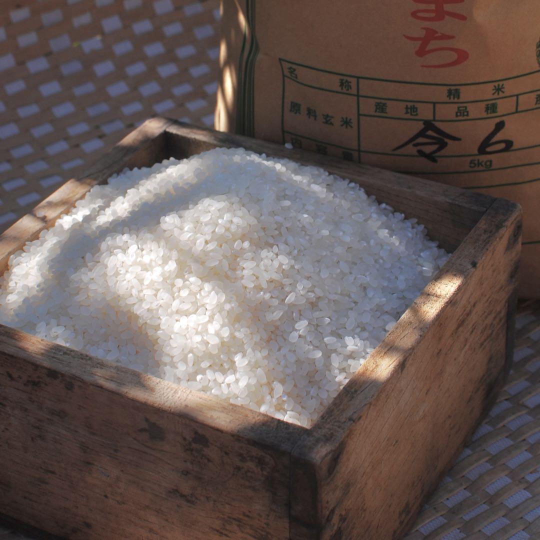 新着食品・飲料・酒 - 令和6年新米○秋田県産あきたこまち【白米