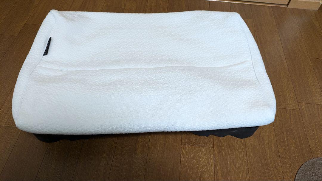 ヒツジのいらない枕　至極　テンセル枕カバー付き