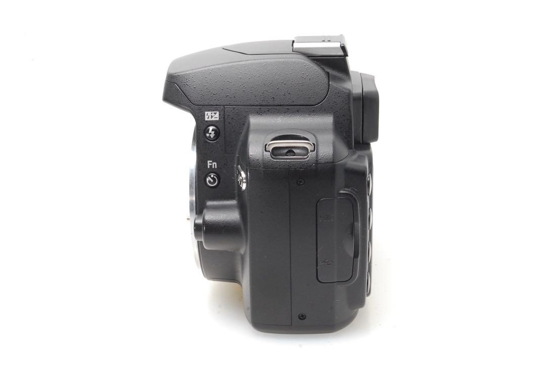✨ショット数1860回✨Nikon D40✨ダブルレンズ✨入門モデル✨一眼レフ ✨ショット数1860回✨Nikon D40✨ダブルレンズ✨入門モデル