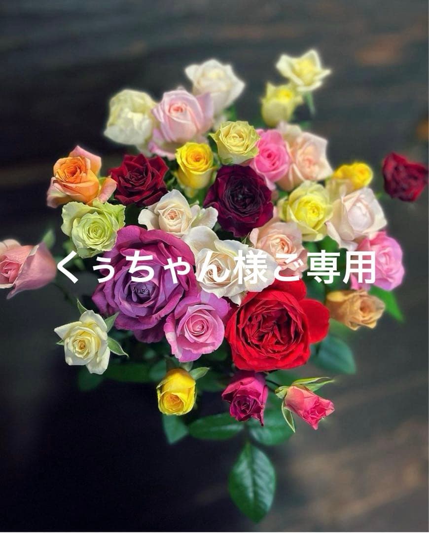 くぅちゃん様ご専用❗️サルート　９０グループ⭐️KOカラー⭐️上下2点⭐️新品タグ付き❗️