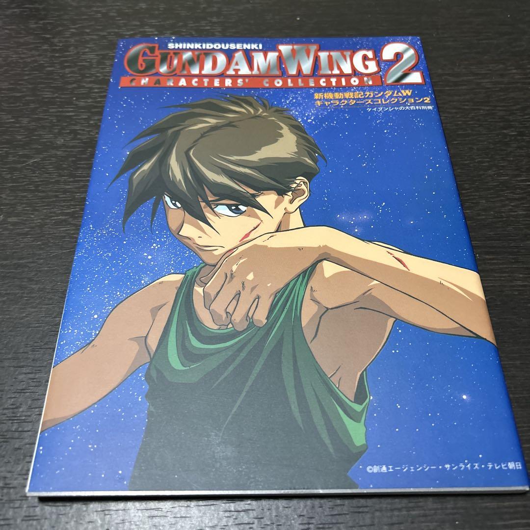 新機動戦記ガンダムW 書籍