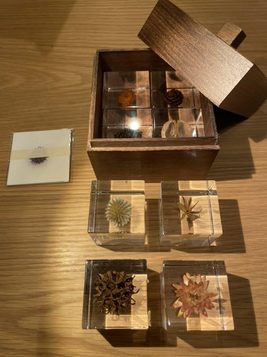 ソラキューブ sola cube 宙 木箱セット 8個 ウサギノネドコ