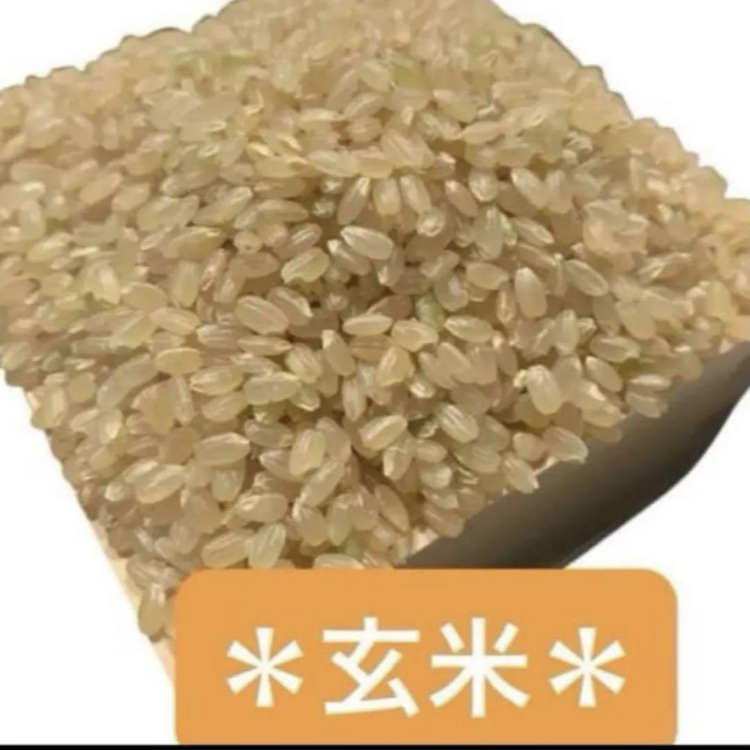 令和6年産 こしいぶき 米 4kg 新潟県 玄米 農家直送 《数量限定》☆