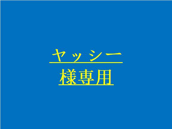 ヤッシー様専用