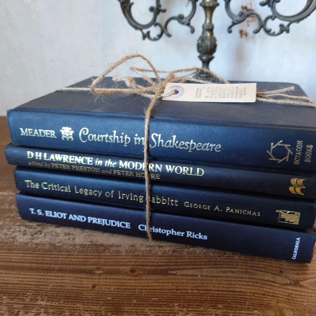 B413 ヴィンテージ 洋書 お洒落な組み合わセット ディスプレイ