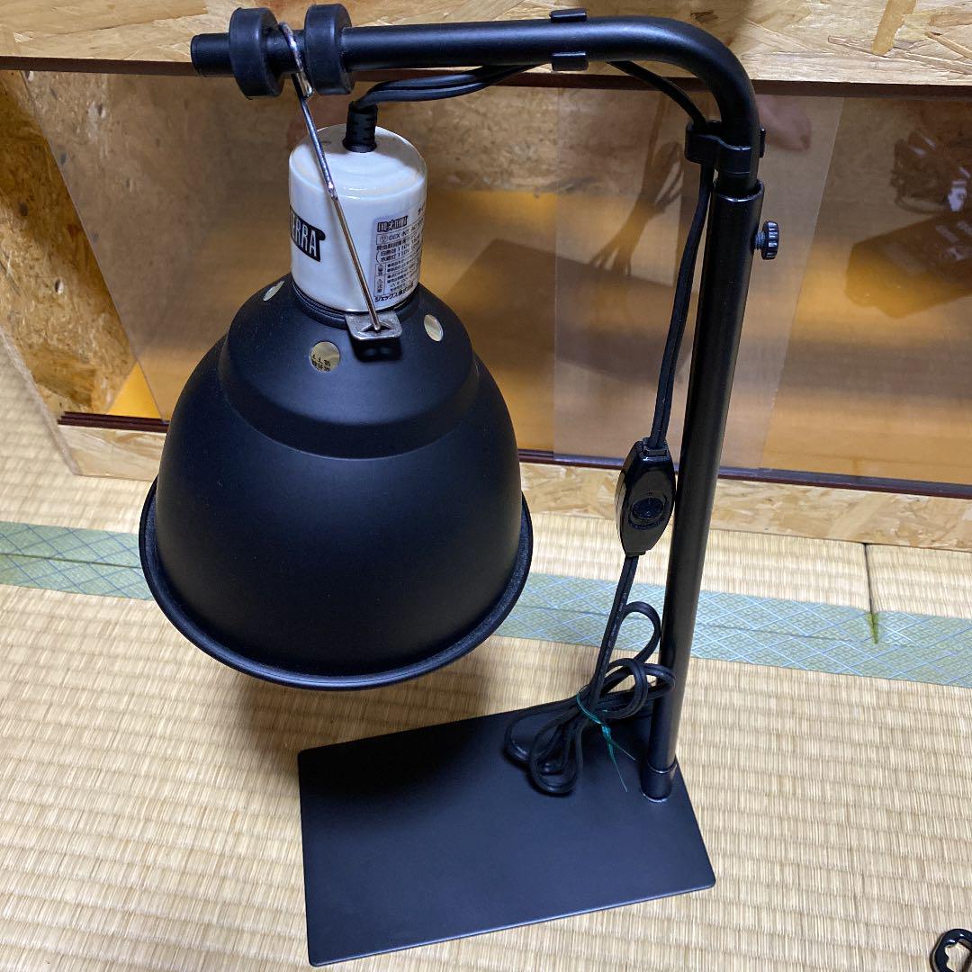 爬虫類 蛇 トカゲ 飼育セット