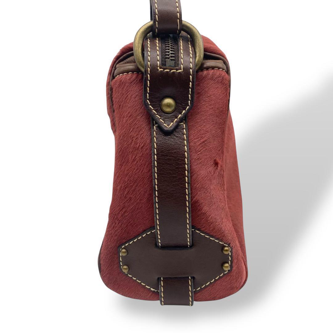 【激レア】CELINE ハラコバッグ　ハンド　ワンショルダー　馬車金具