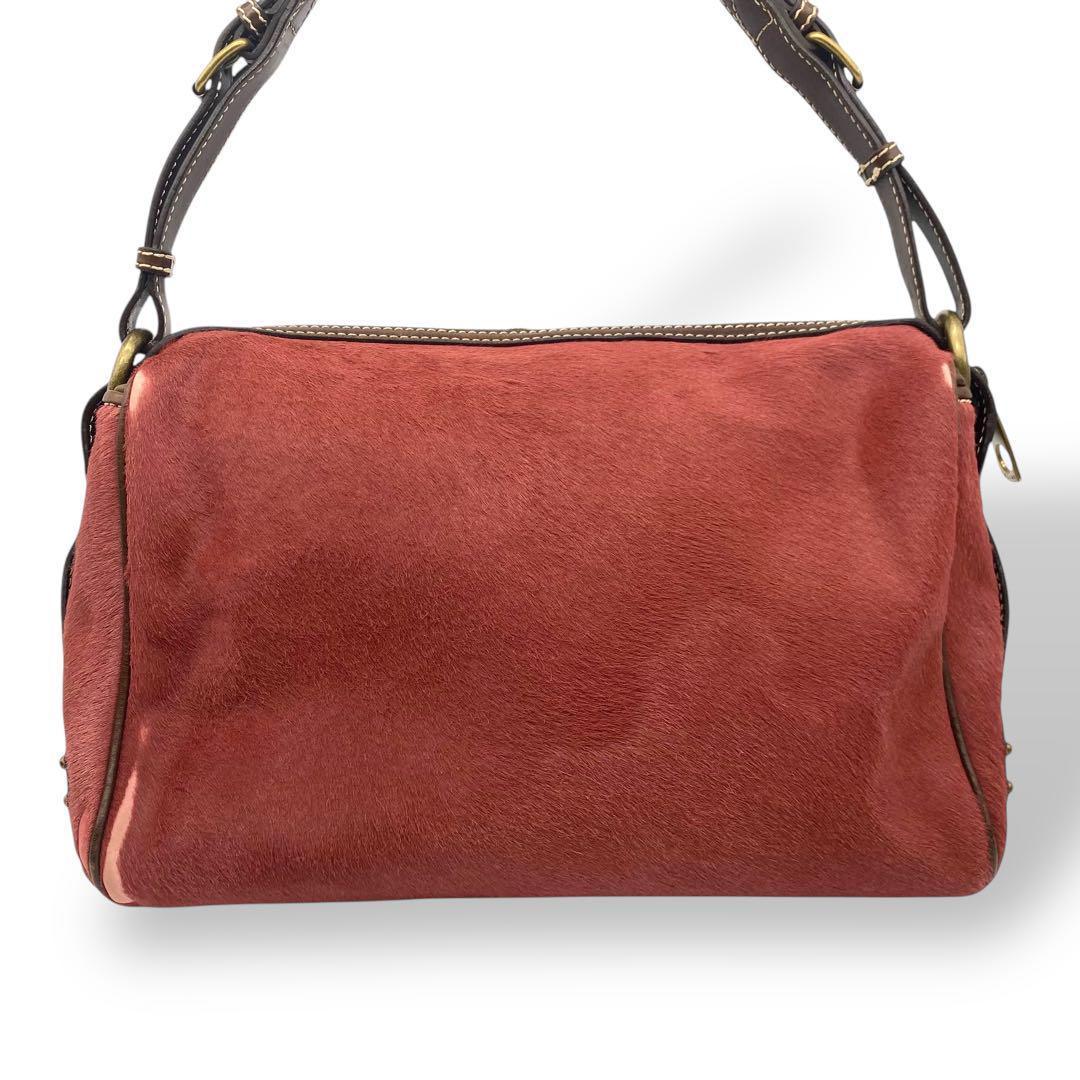 【激レア】CELINE ハラコバッグ　ハンド　ワンショルダー　馬車金具